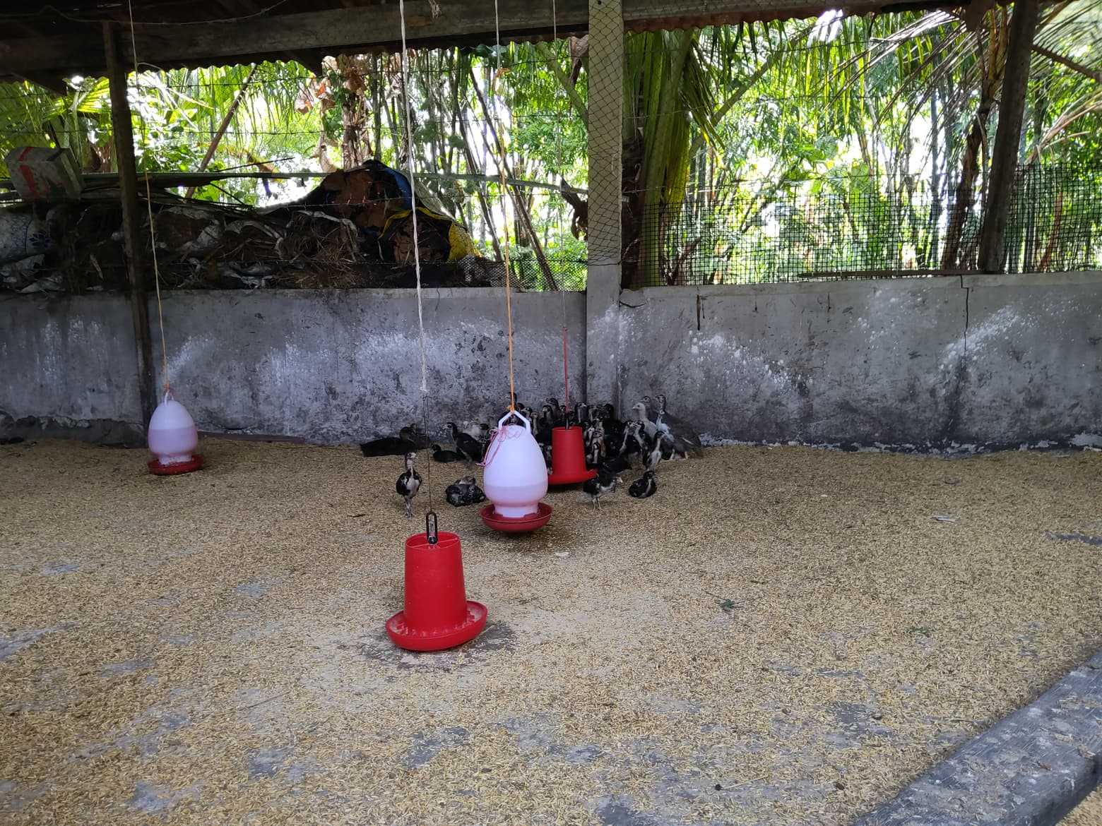 pic_34640