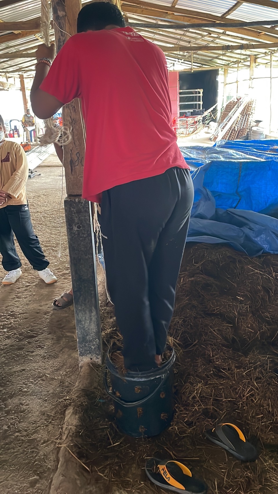 pic_34630